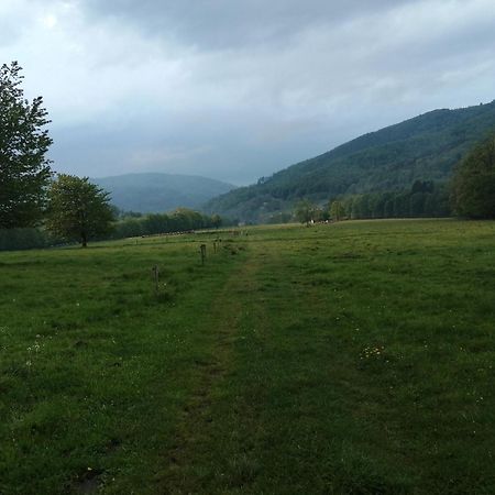 Domek W Gorach Sowich Пешице Екстериор снимка