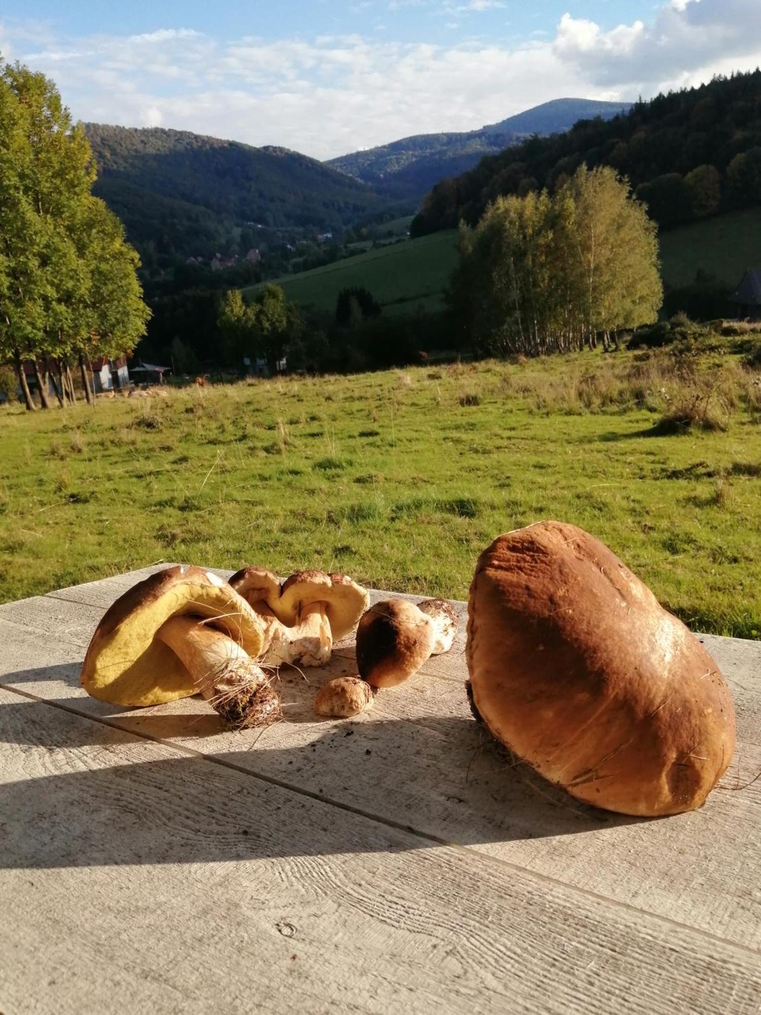 Domek W Gorach Sowich Пешице Екстериор снимка