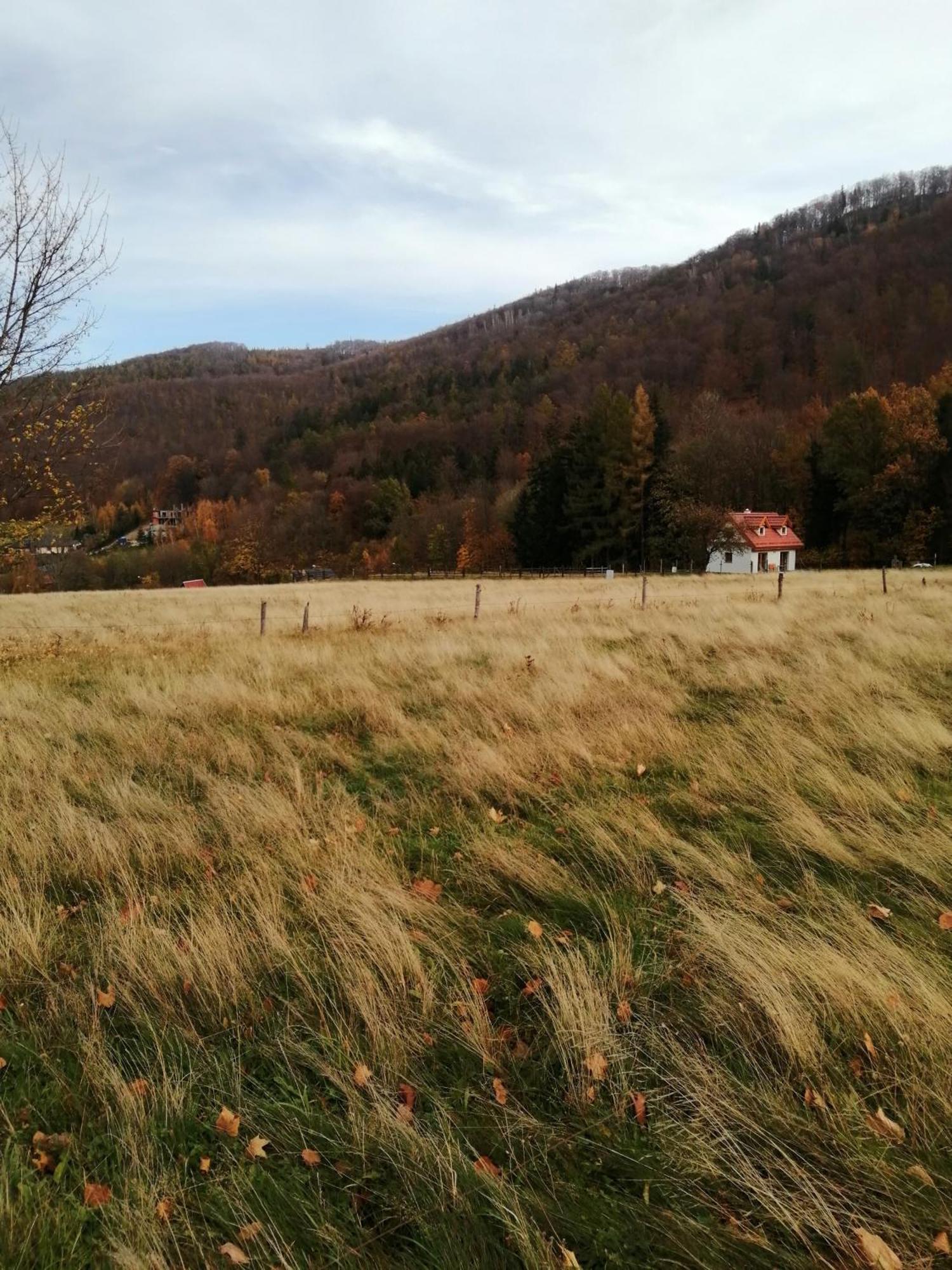 Domek W Gorach Sowich Пешице Екстериор снимка